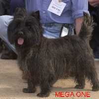 CH. Mega one du hameau des sources